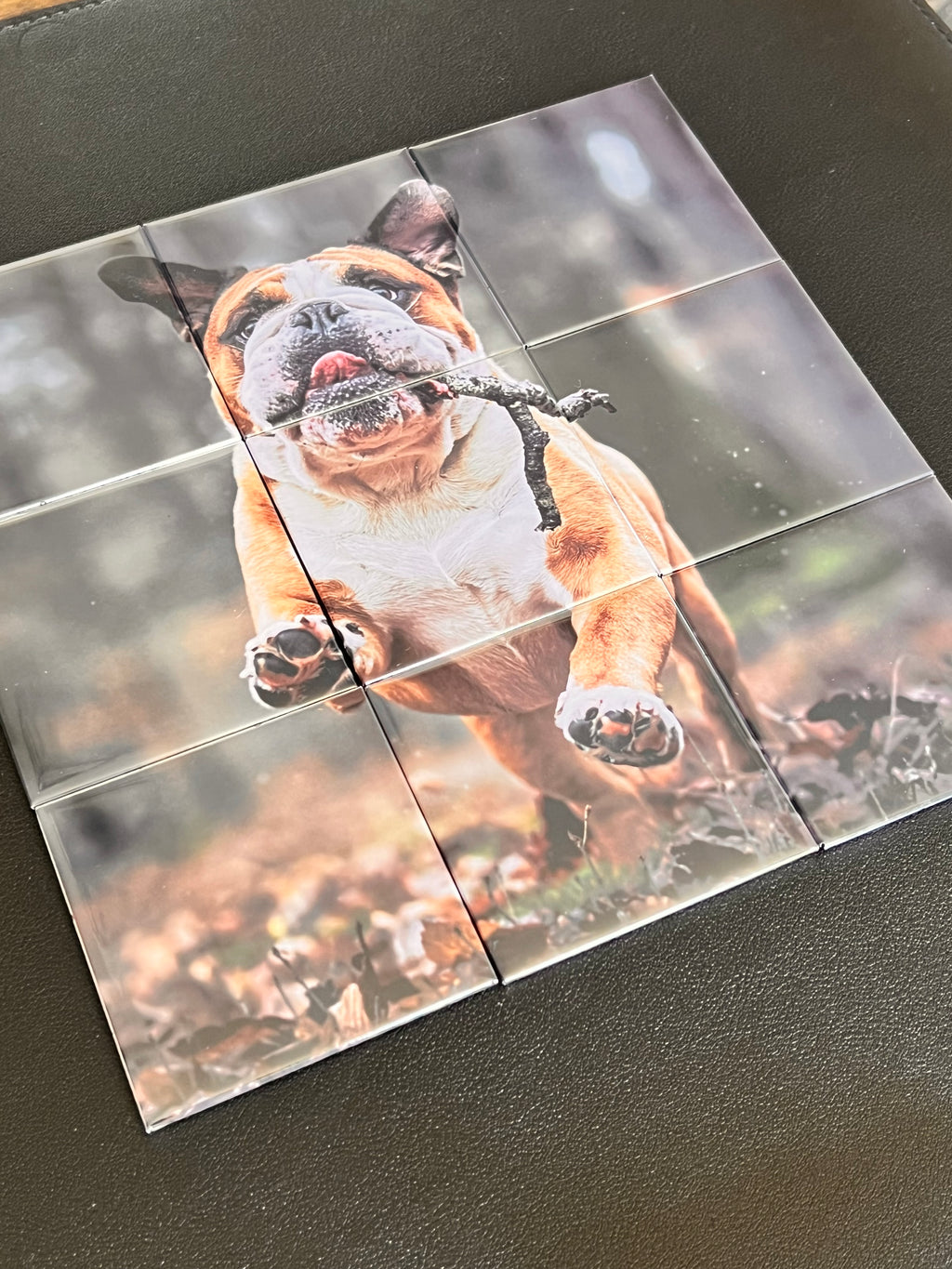Photo Puzzle